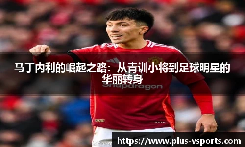 马丁内利的崛起之路:从青训小将到足球明星的华丽转身